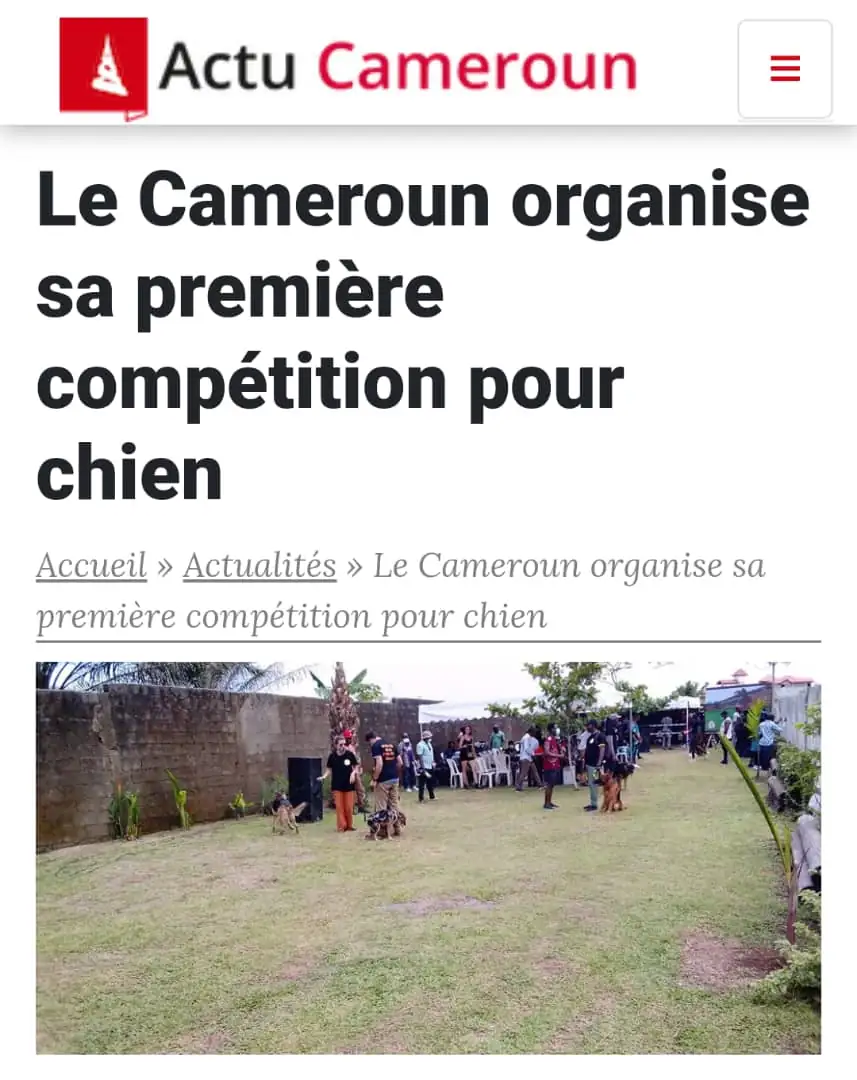 (Actu Cameroun) Le Cameroun Organise sa première compétition pour Chien