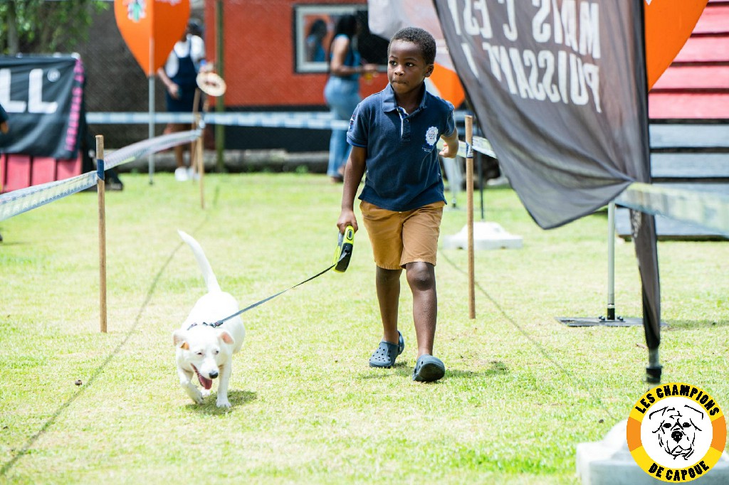Dog Challenge 3e édition