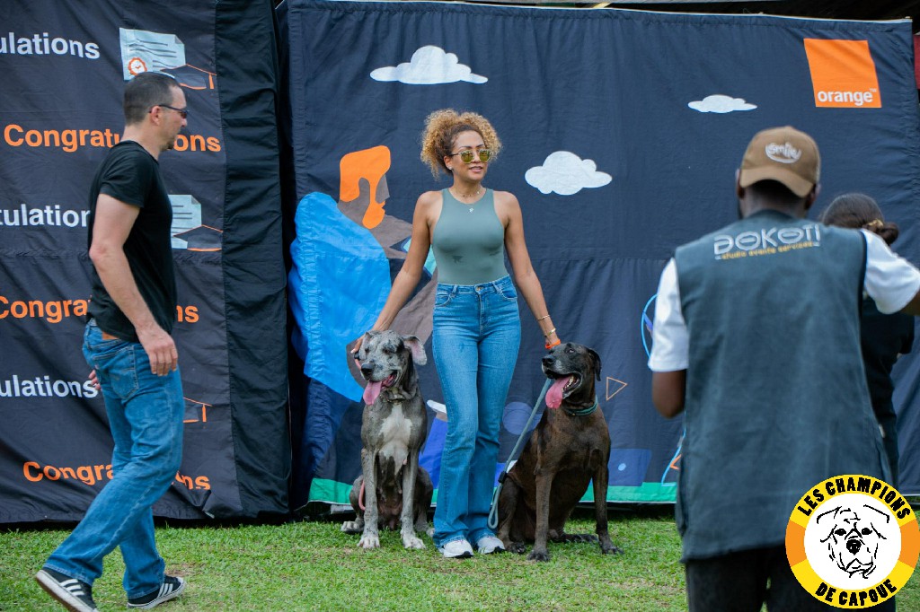 Dog Challenge 3e édition
