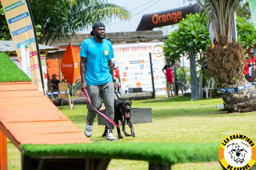 Dog Challenge 3e édition