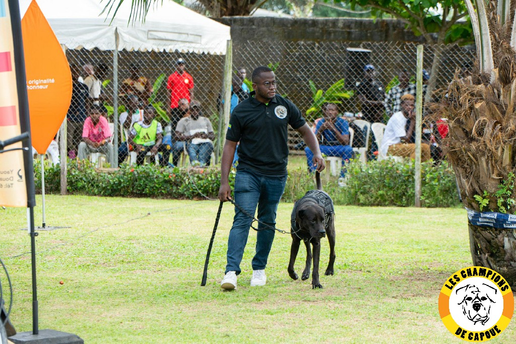 Dog Challenge 3e édition