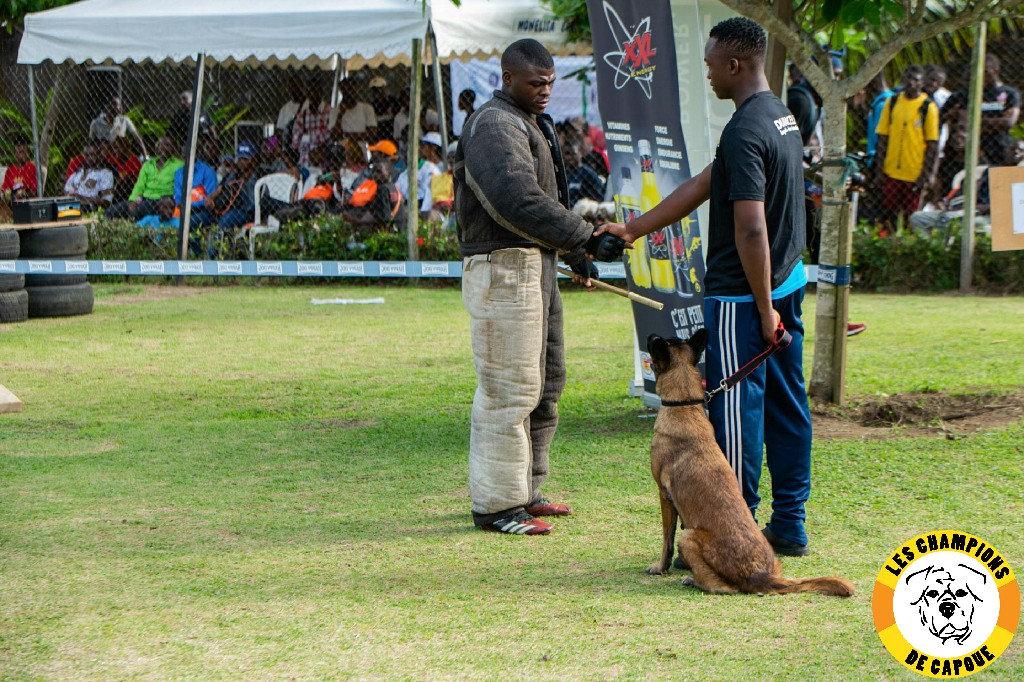 Dog Challenge 3e édition