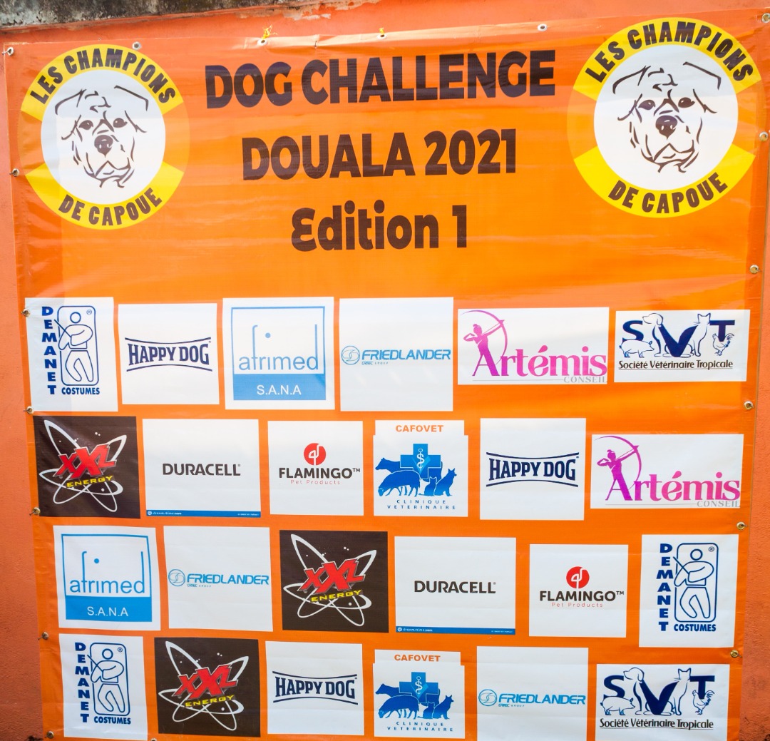 Dog Challenge 1ère édition