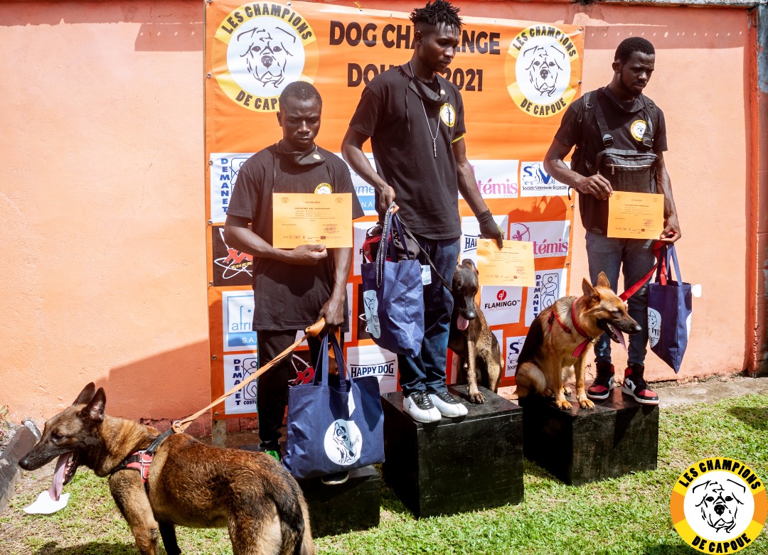 Dog Challenge 1ère édition