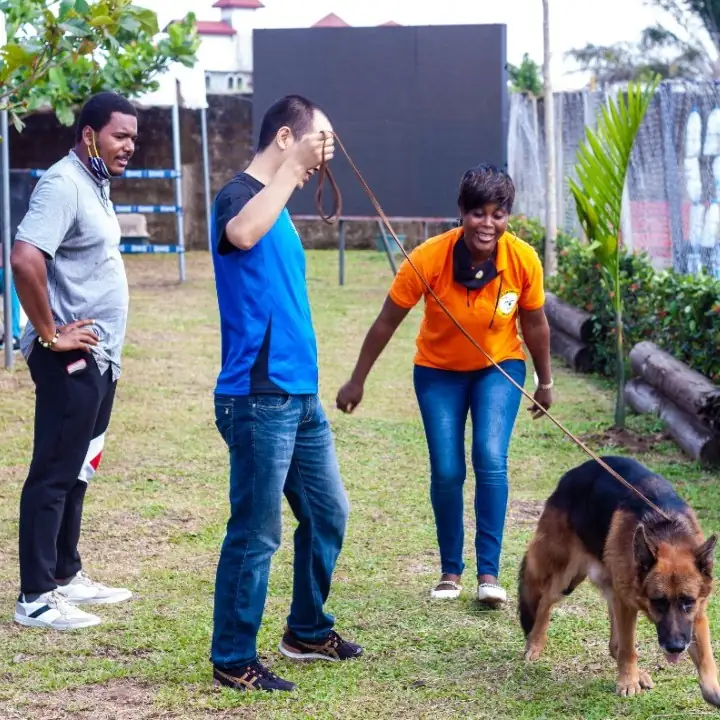 images_dog_challenge_edition1_18