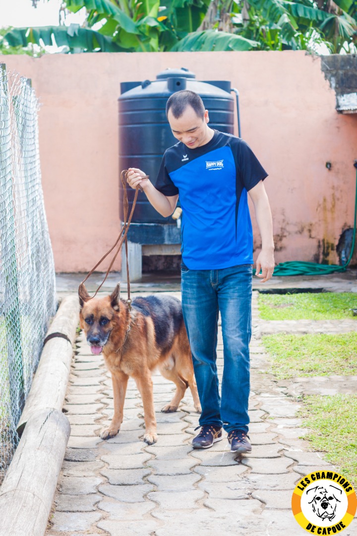 Dog Challenge 1ère édition