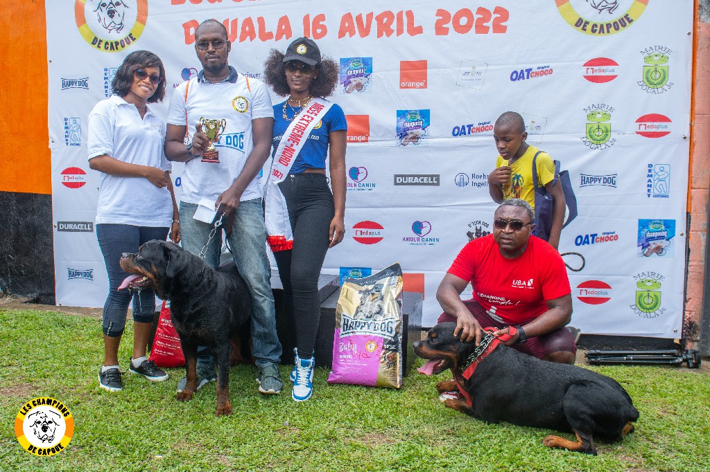 Dog Challenge 2e édition