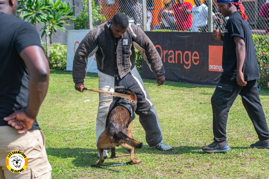 Dog Challenge 2e édition