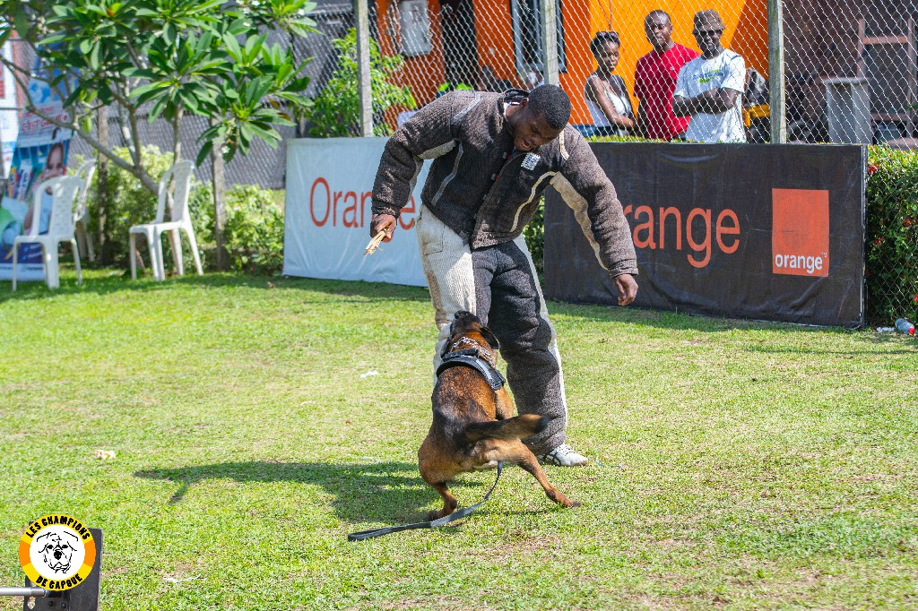 Dog Challenge 2e édition