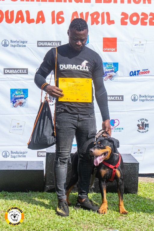 Dog Challenge 2e édition