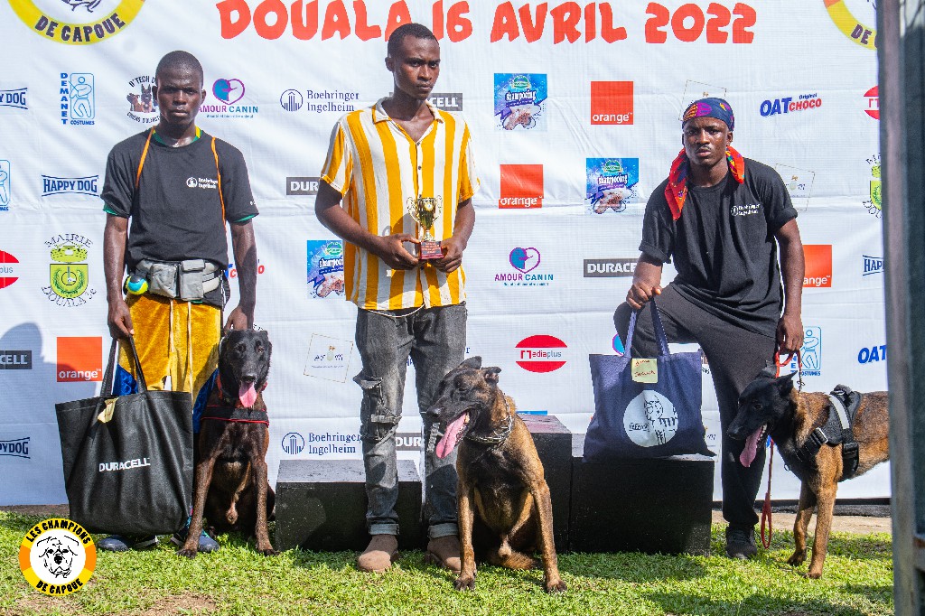 Dog Challenge 2e édition